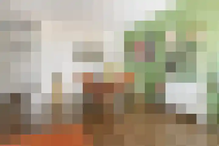 Metaallaan 23 Groningen thumbnail 14