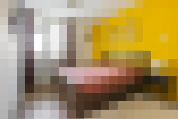 Metaallaan 23 Groningen thumbnail 21