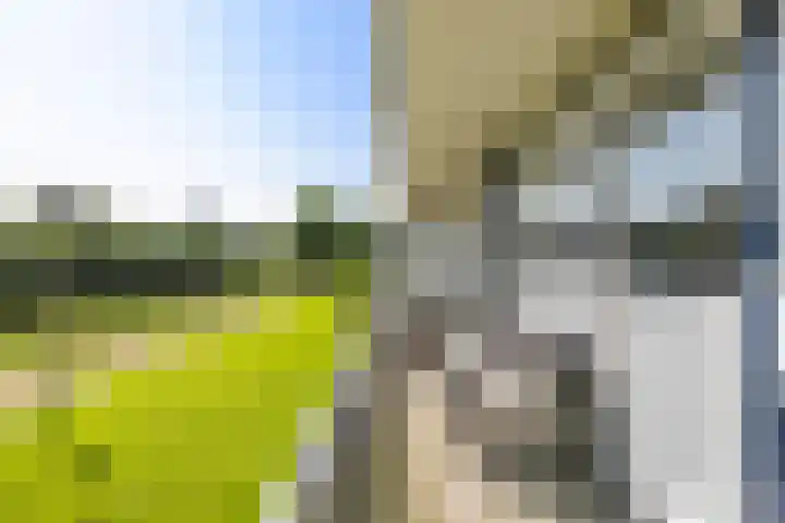 Metaallaan 23 Groningen thumbnail 28