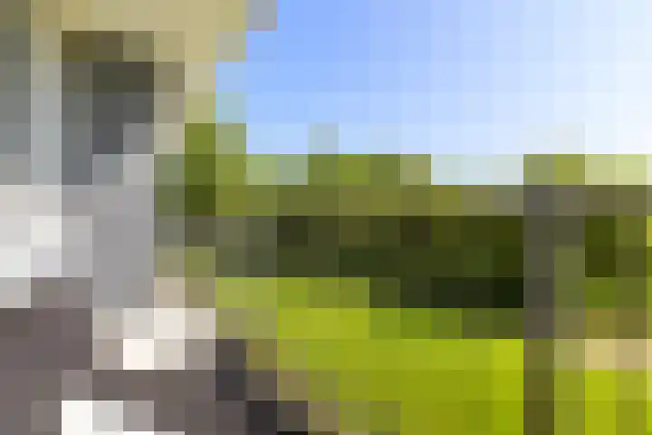 Metaallaan 23 Groningen thumbnail 29
