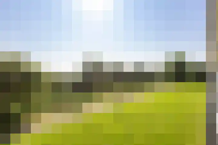 Metaallaan 23 Groningen thumbnail 30