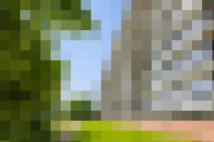 Metaallaan 23 Groningen thumbnail 31