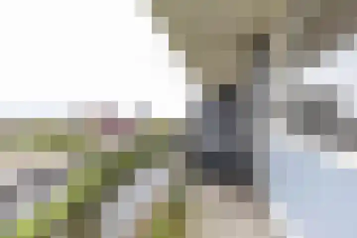 Metaallaan 251 Groningen thumbnail 17