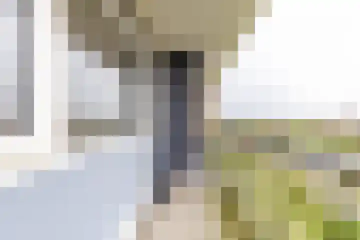 Metaallaan 251 Groningen thumbnail 18