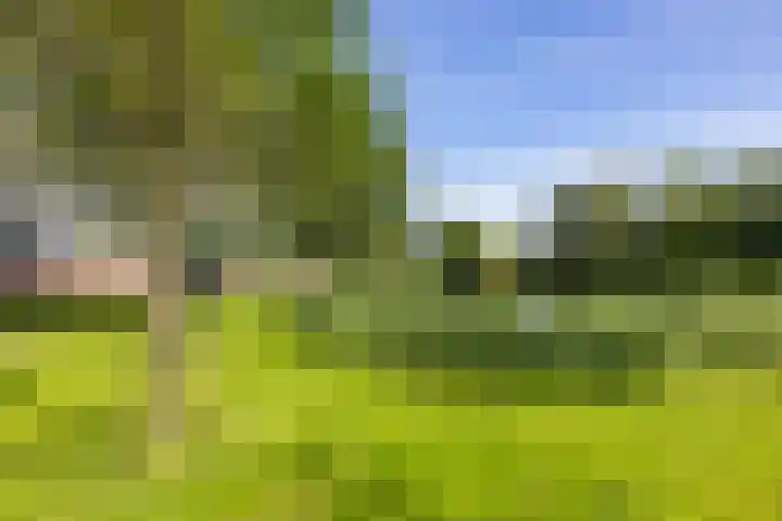 Metaallaan 251 Groningen thumbnail 27