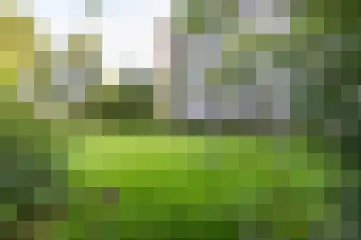 Metaallaan 251 Groningen thumbnail 28