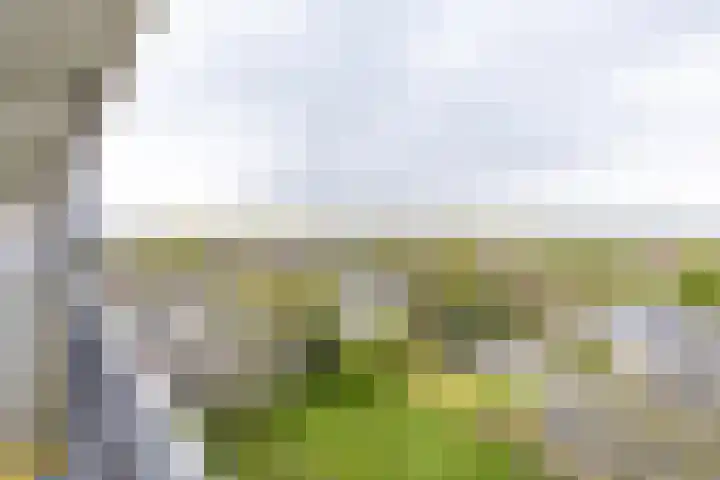 Metaallaan 251 Groningen thumbnail 4