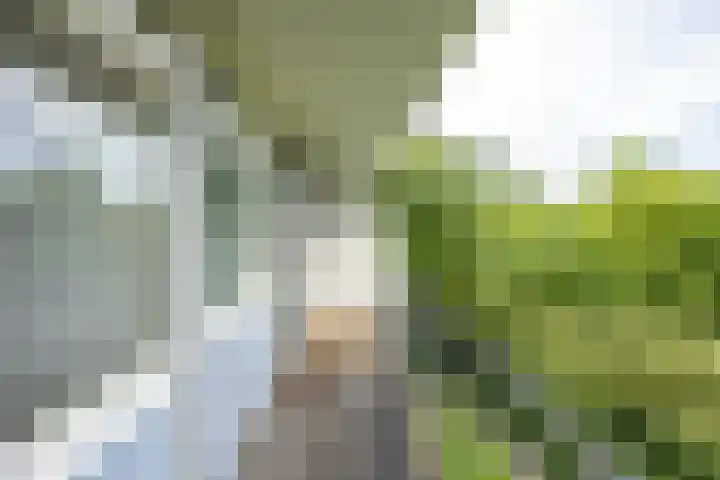 Metaallaan 81 Groningen thumbnail 21