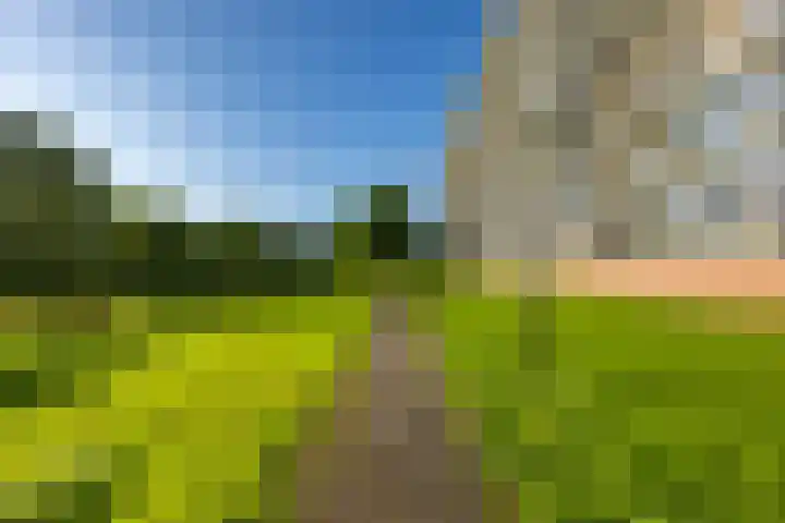 Metaallaan 81 Groningen thumbnail 23