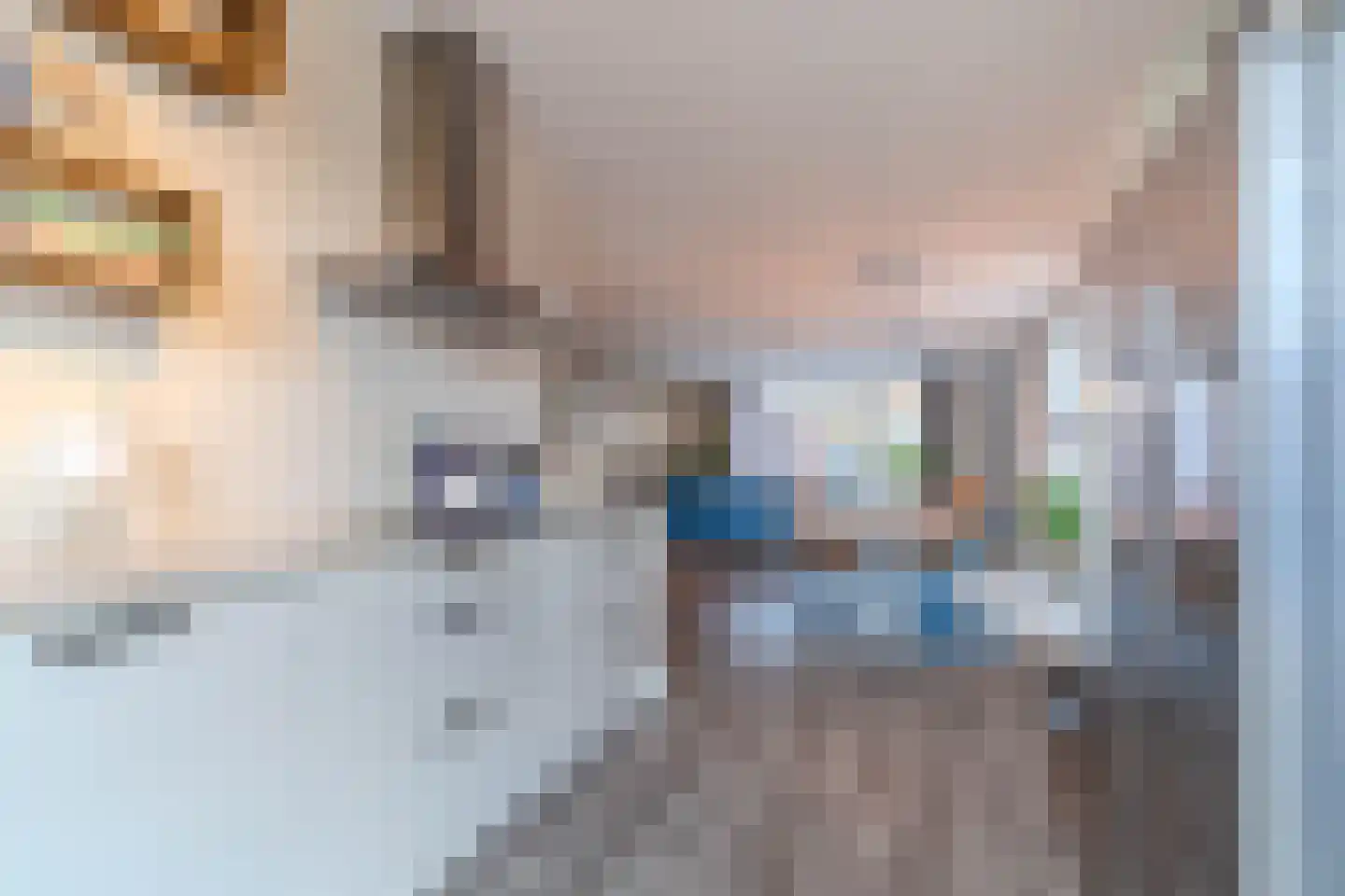 Metelerkampstraat 89 Rijswijk thumbnail 17