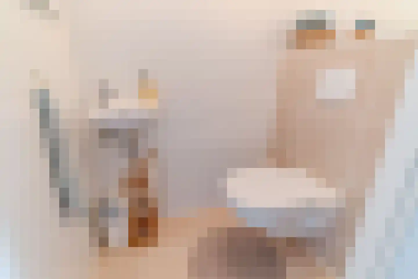 Metelerkampstraat 89 Rijswijk thumbnail 6