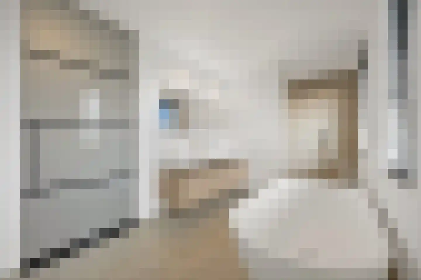 Metelerkampstraat 9 Rijswijk thumbnail 39