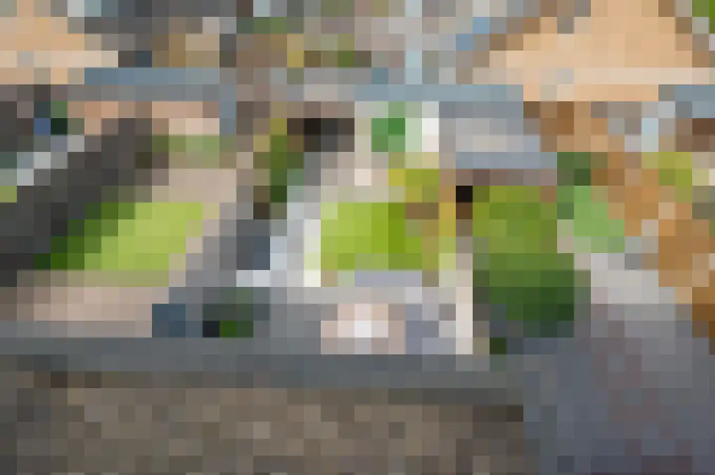 Metelerkampstraat 9 Rijswijk thumbnail 42