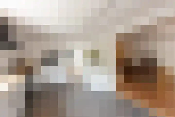 Meteoorbaan 9 Franeker thumbnail 16