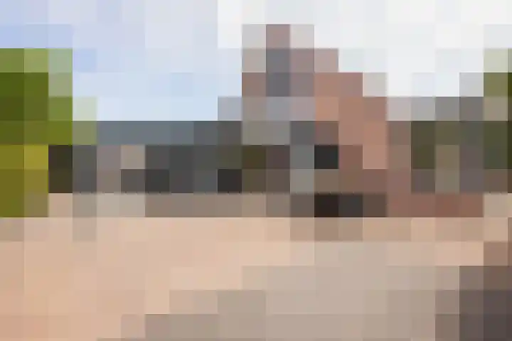 Meteoorbaan 9 Franeker thumbnail 27