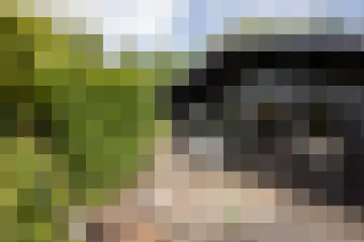 Meteoorbaan 9 Franeker thumbnail 29