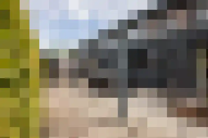 Meteoorbaan 9 Franeker thumbnail 30