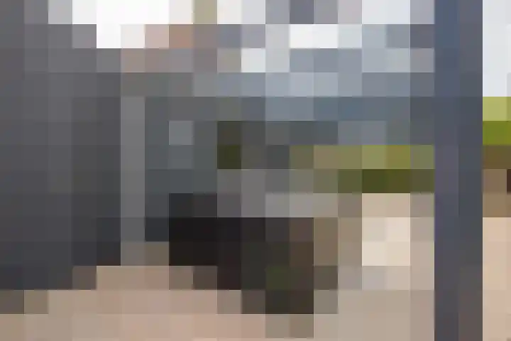 Meteoorbaan 9 Franeker thumbnail 32