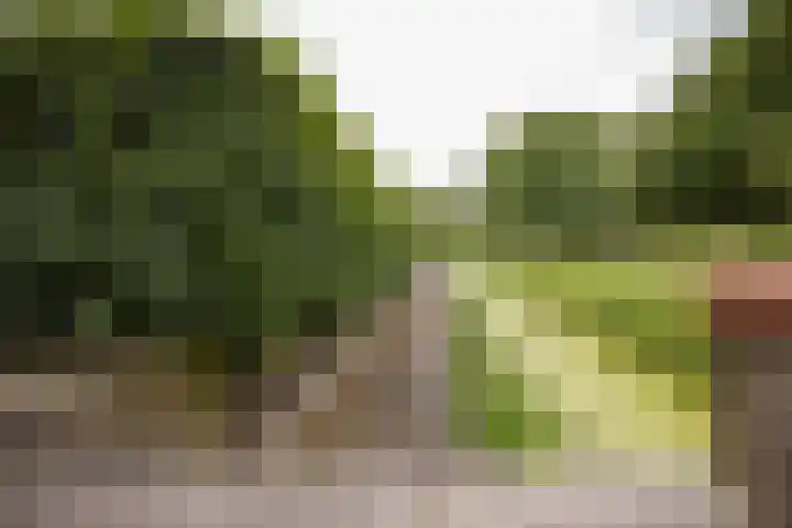 Meteoorbaan 9 Franeker thumbnail 36