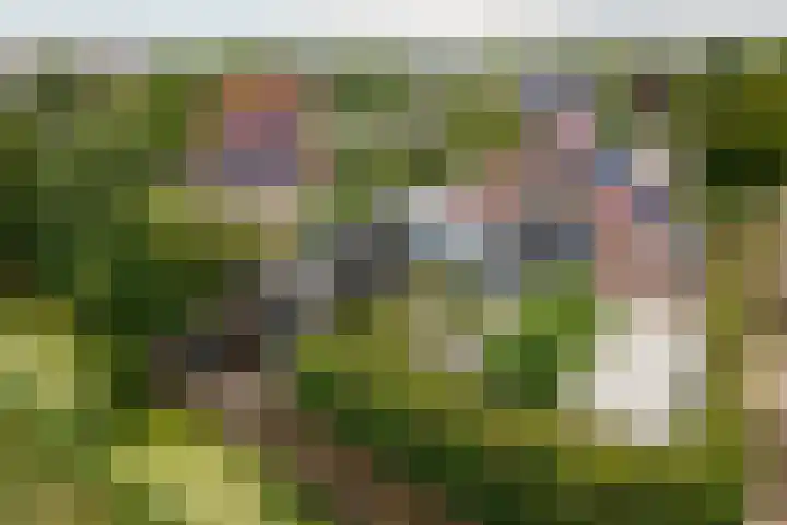 Meteoorbaan 9 Franeker thumbnail 39