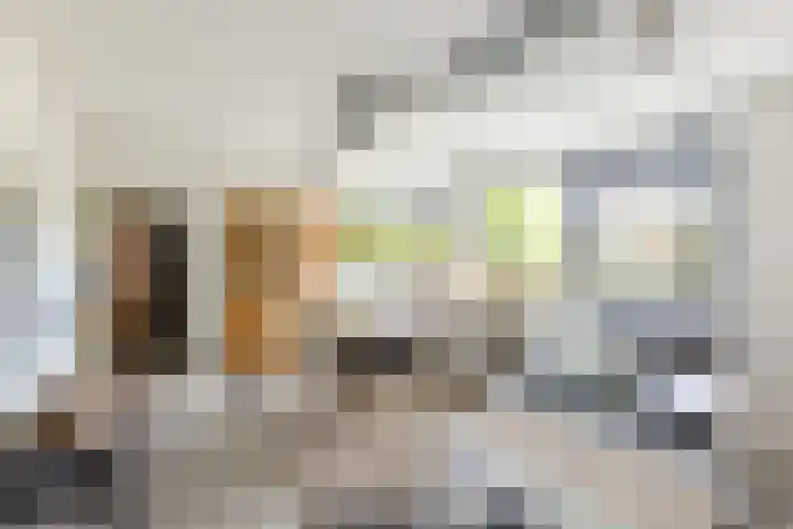 Meteoorbaan 9 Franeker thumbnail 4