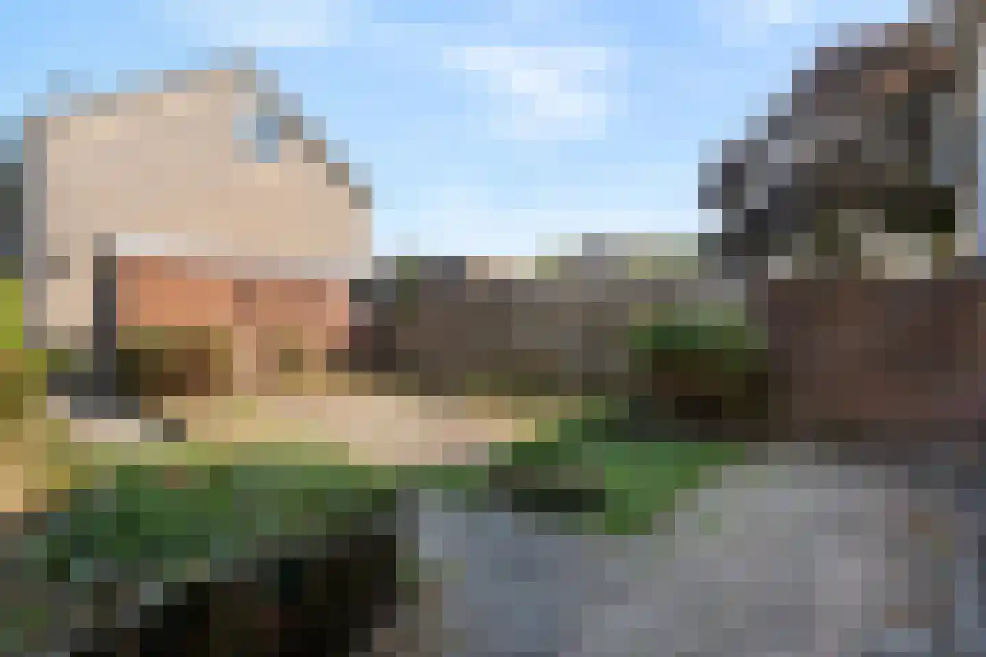 Meteoorlaan 37 Hardenberg thumbnail 31