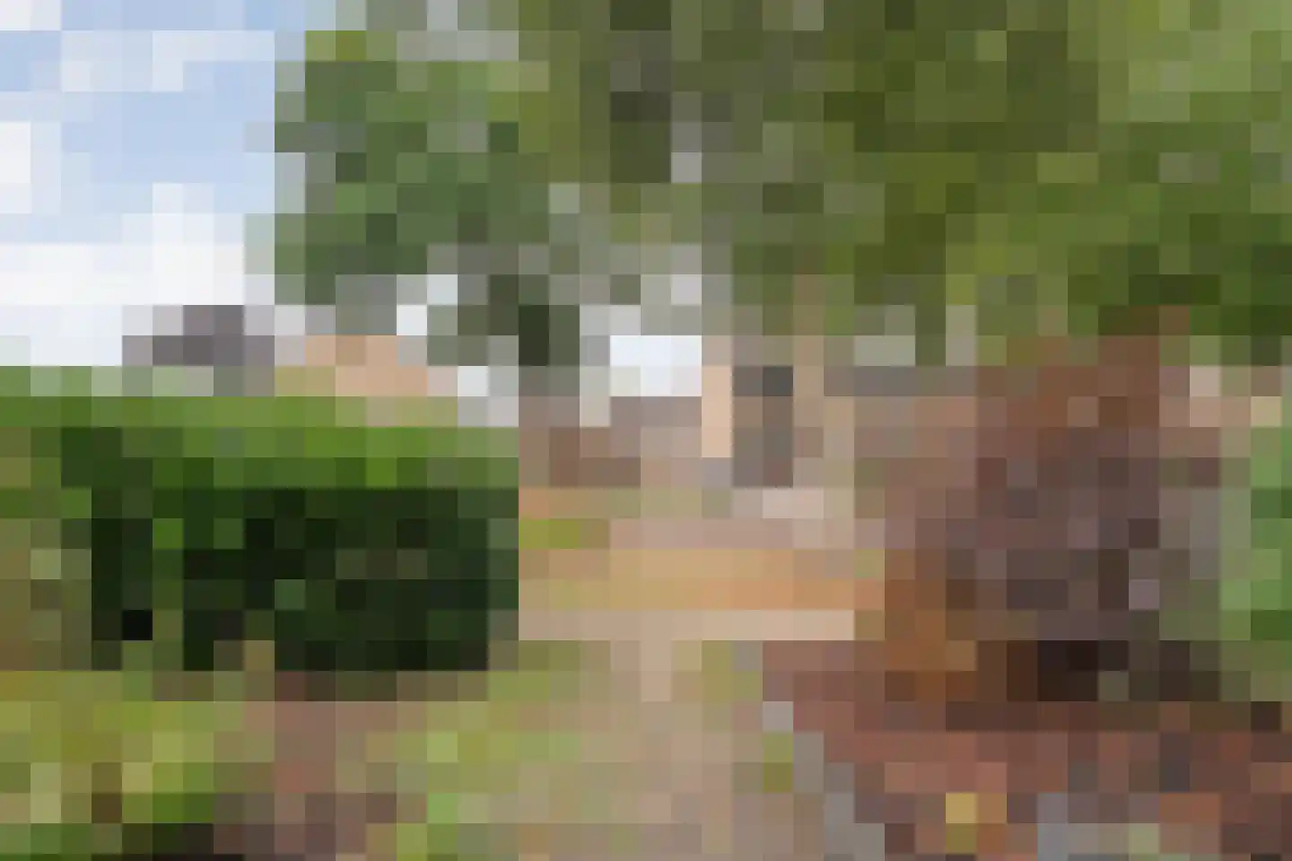 Meteoorlaan 50 Hardenberg thumbnail 12