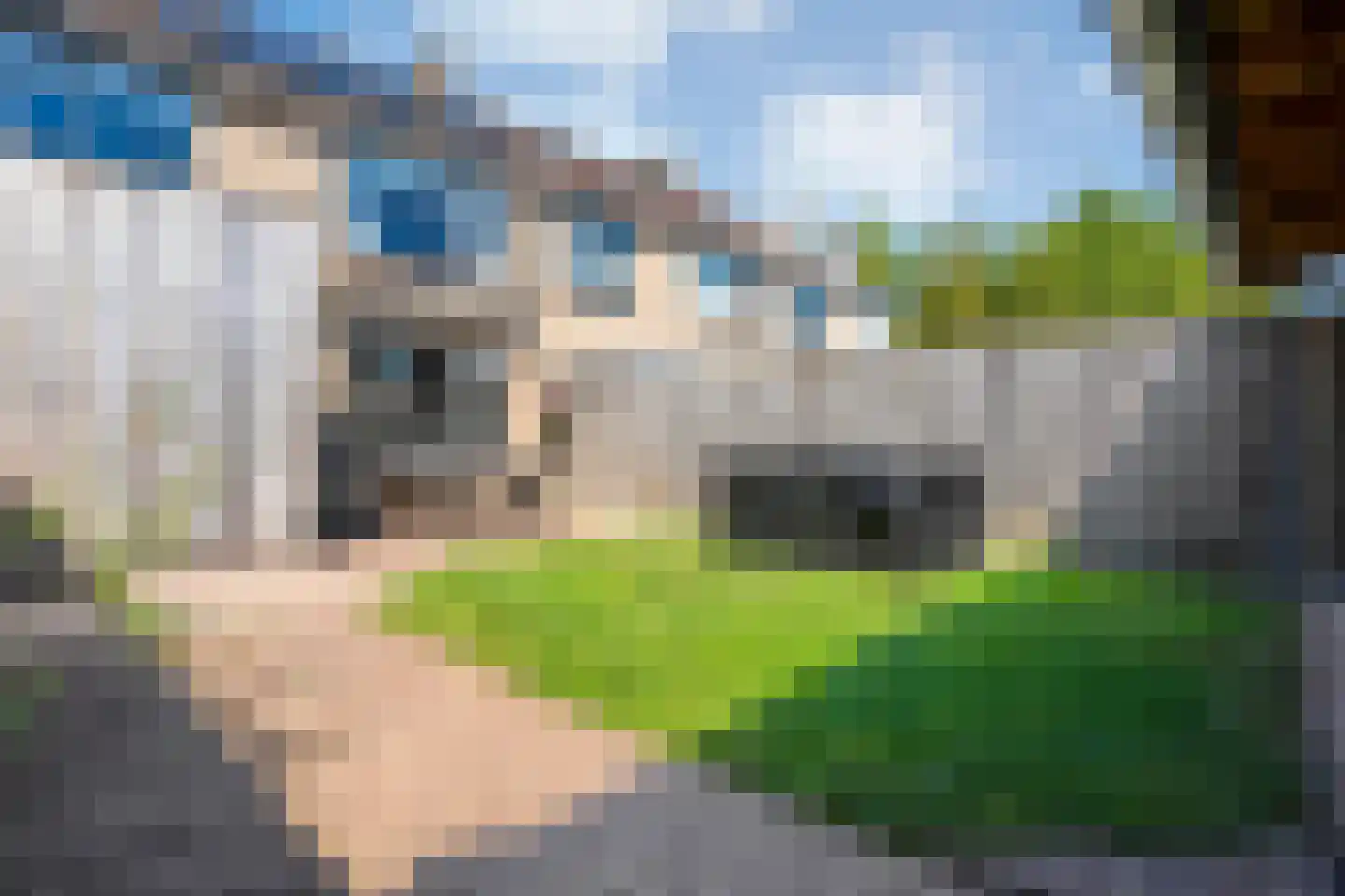 Meteoorlaan 8 Hardenberg thumbnail 39