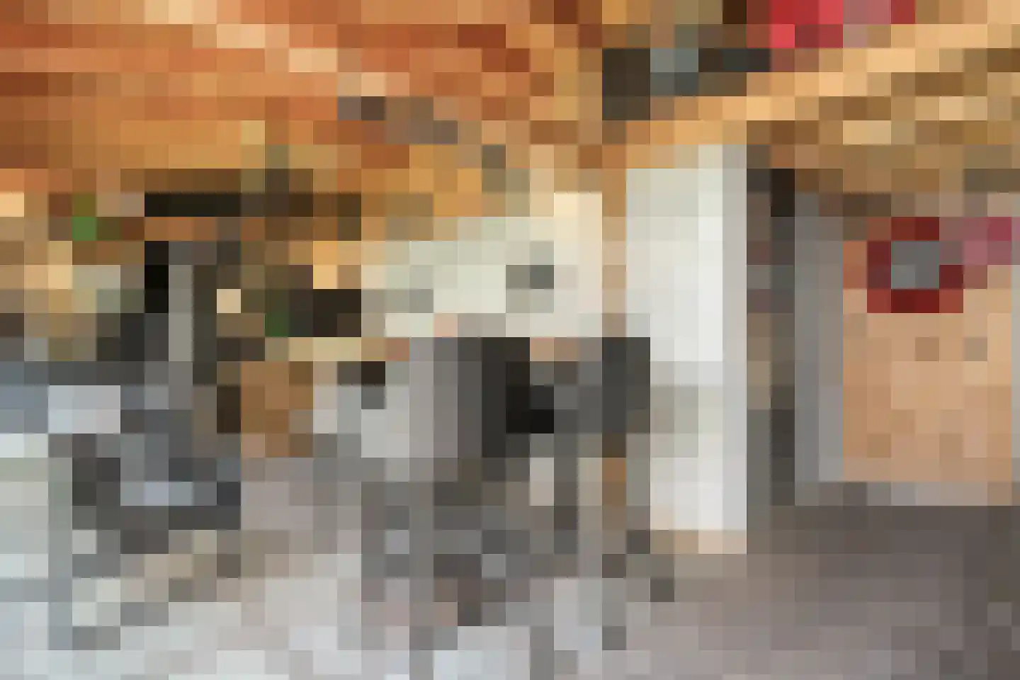 Meteoorlaan 8 Hardenberg thumbnail 41