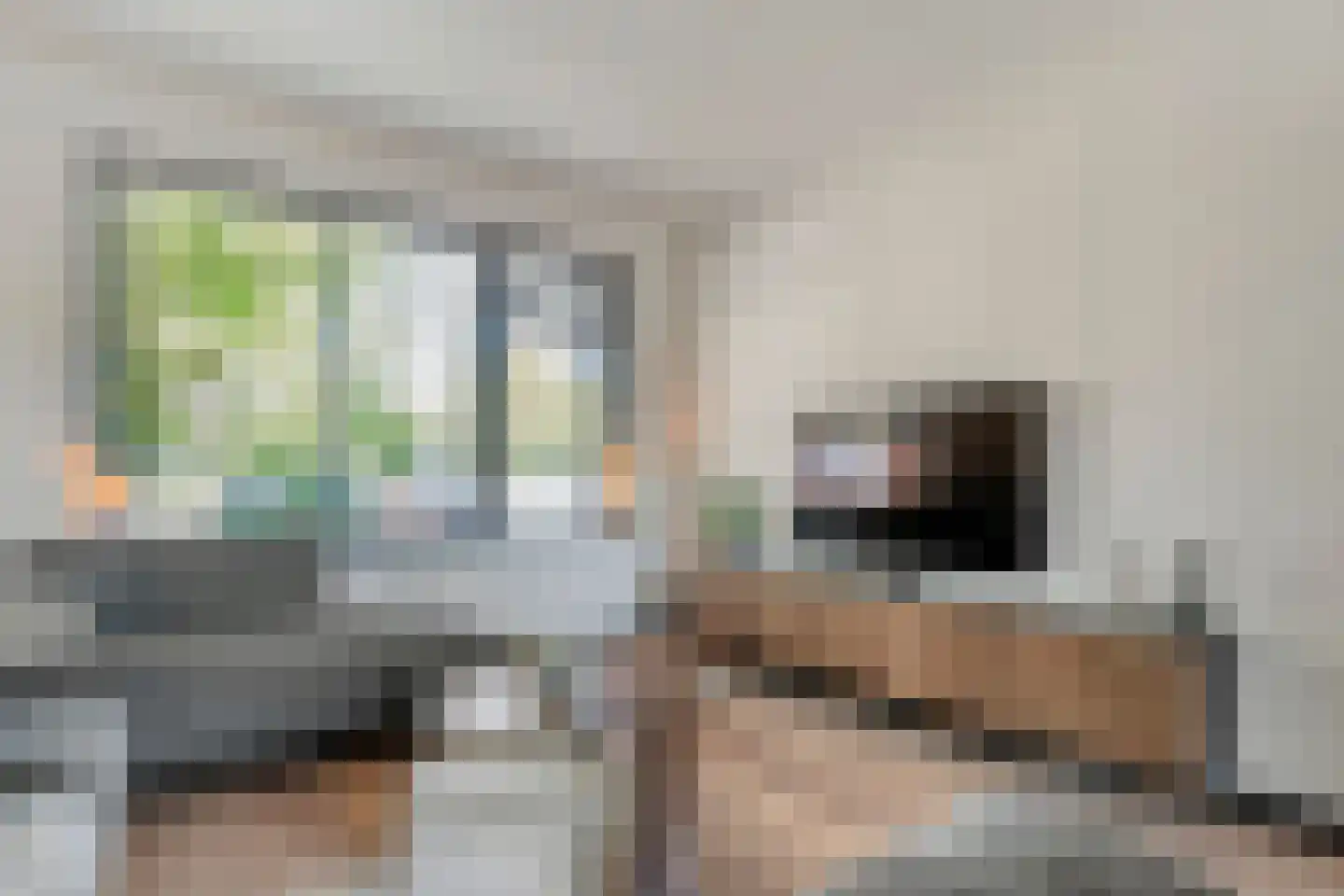 Meteoorlaan 8 Hardenberg thumbnail 9