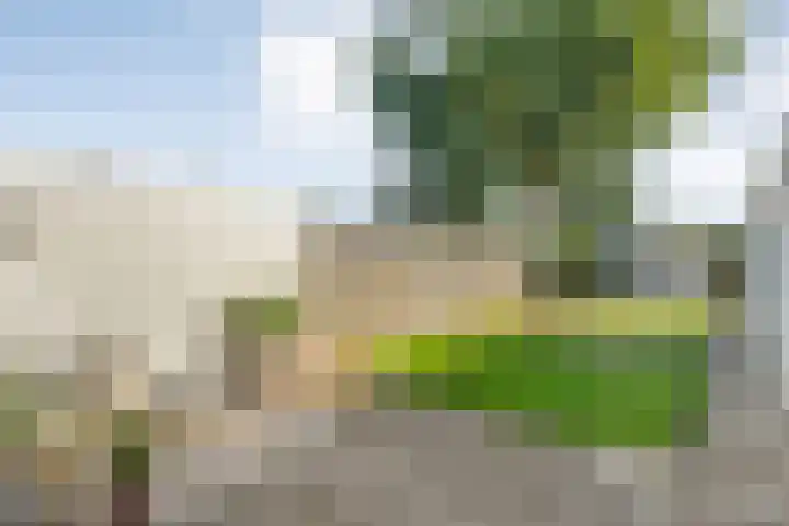 Meteoorplein 6 Hardenberg thumbnail 26