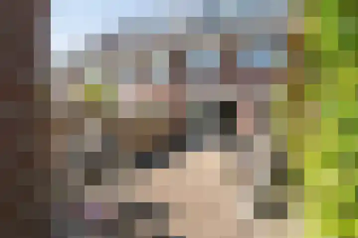 Meteoorsteen 5 Zoetermeer thumbnail 15