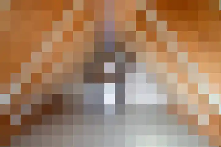 Meteoorstraat 1 Brunssum thumbnail 22
