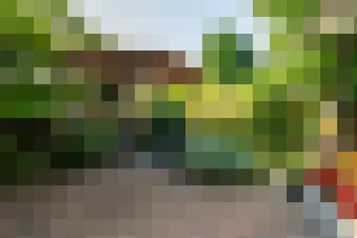 Meteoorstraat 1 Brunssum thumbnail 27