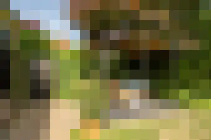Meteoorstraat 1 Brunssum thumbnail 30