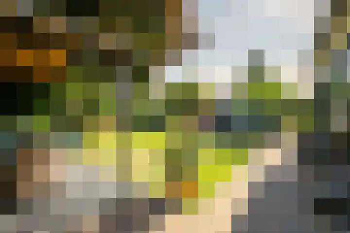 Meteoorstraat 1 Brunssum thumbnail 31