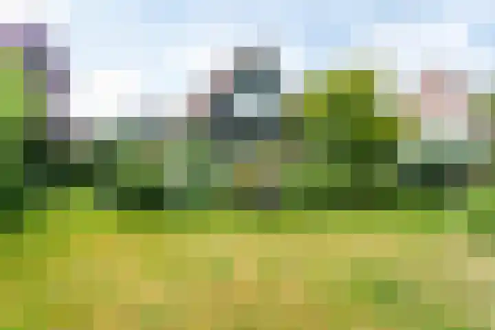 Meteoorstraat 2 Brunssum thumbnail 33
