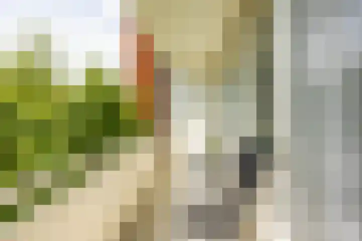 Meteoorstraat 29 Groningen thumbnail 11