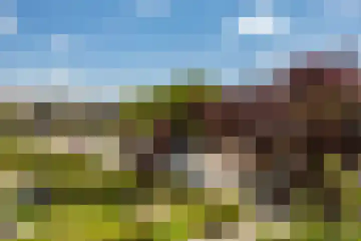 Meteoorstraat 29 Groningen thumbnail 13