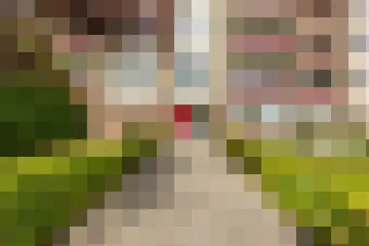 Meteoorstraat 29 Groningen thumbnail 6