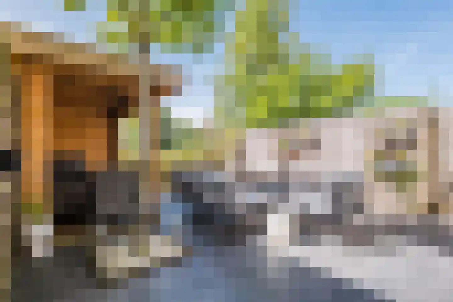 Meteorenlaan 28 Hoogeveen thumbnail 8