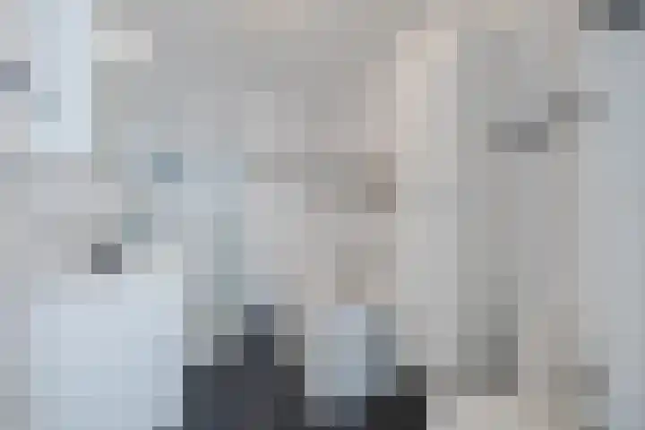 Meteorenlaan 32 Hoogeveen thumbnail 21