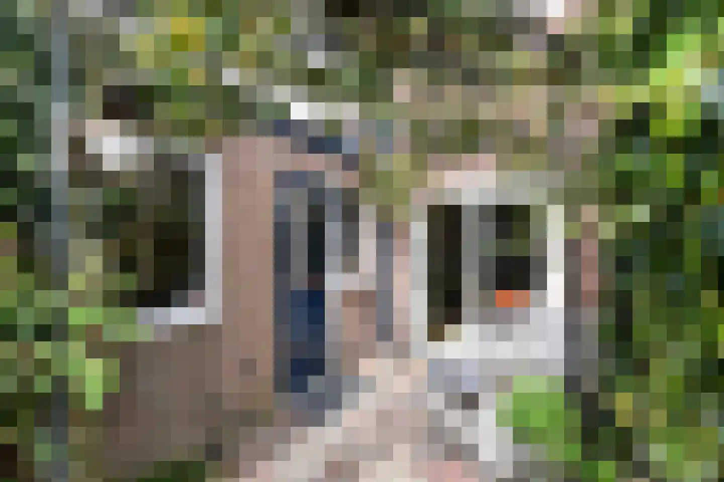 Meteorenstraat 109 Hilversum thumbnail 11