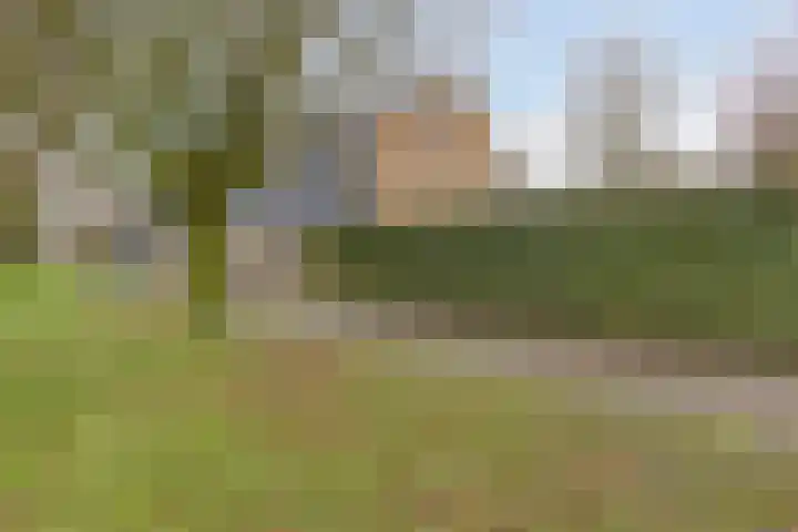 Meteorenstraat 115 Emmeloord thumbnail 67