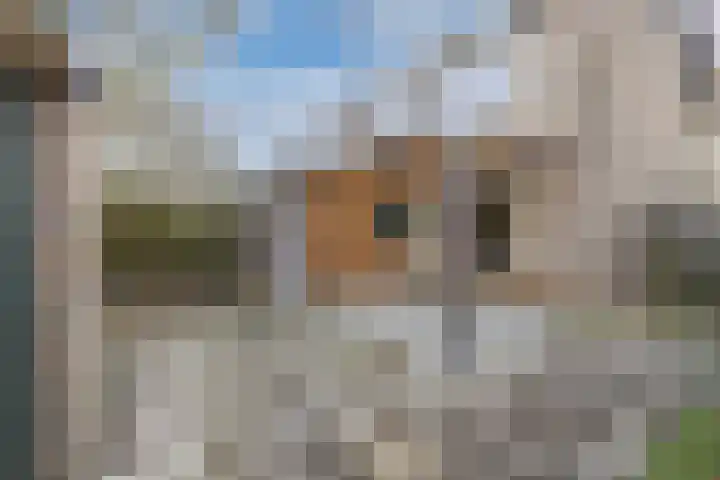 Meteorenstraat 29 Emmeloord thumbnail 38