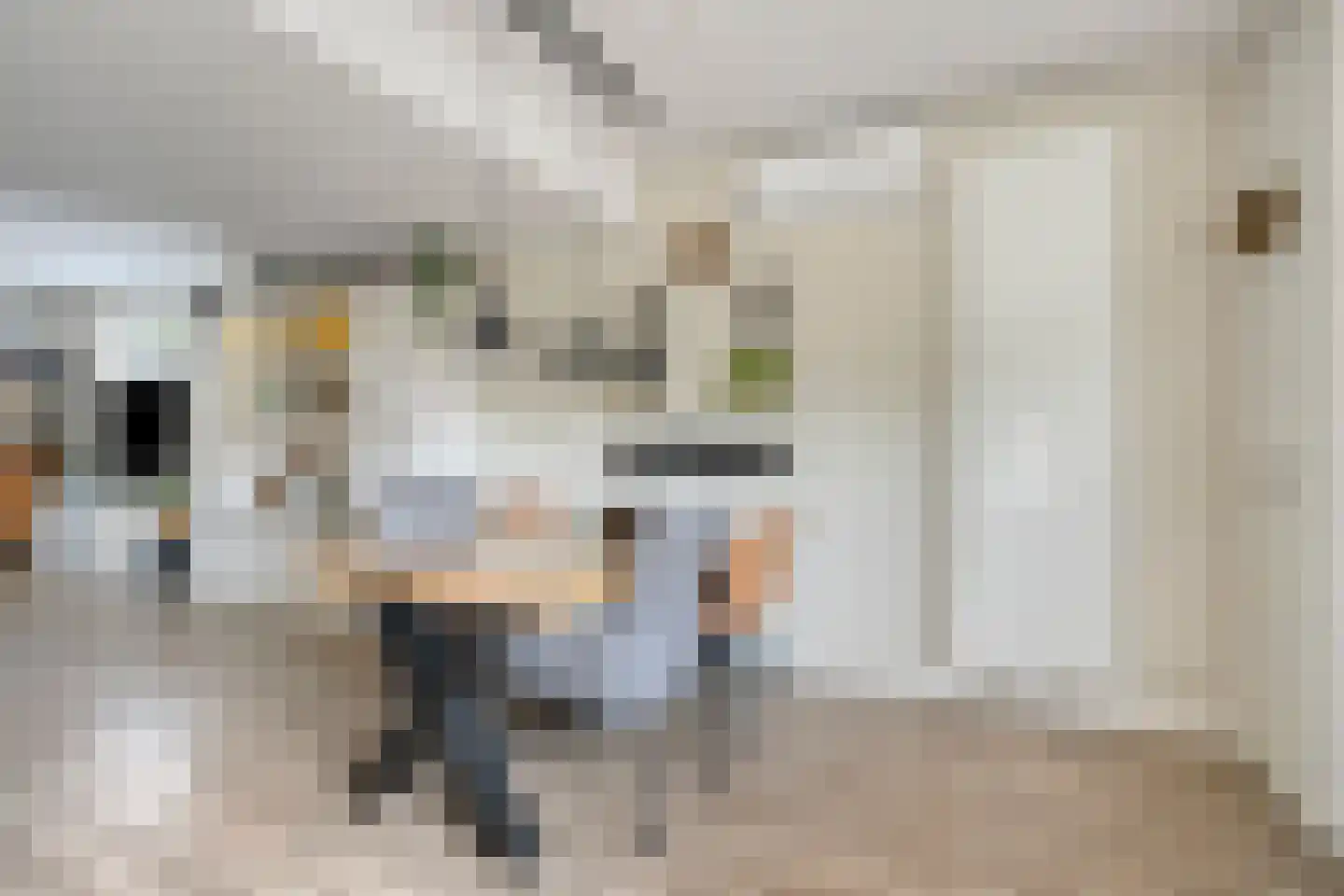 Meteorenstraat 34 Emmeloord thumbnail 13