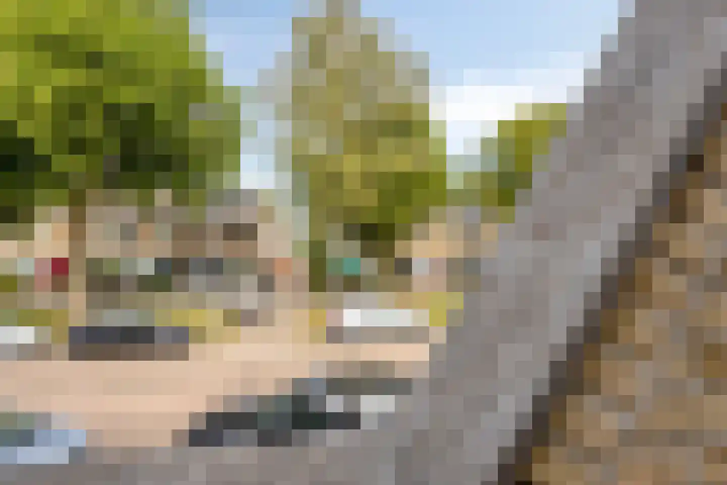 Meteorenstraat 34 Emmeloord thumbnail 31
