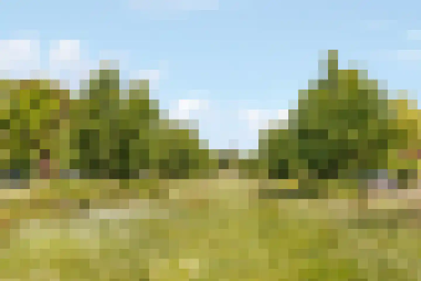 Meteorenstraat 62 Hilversum thumbnail 26