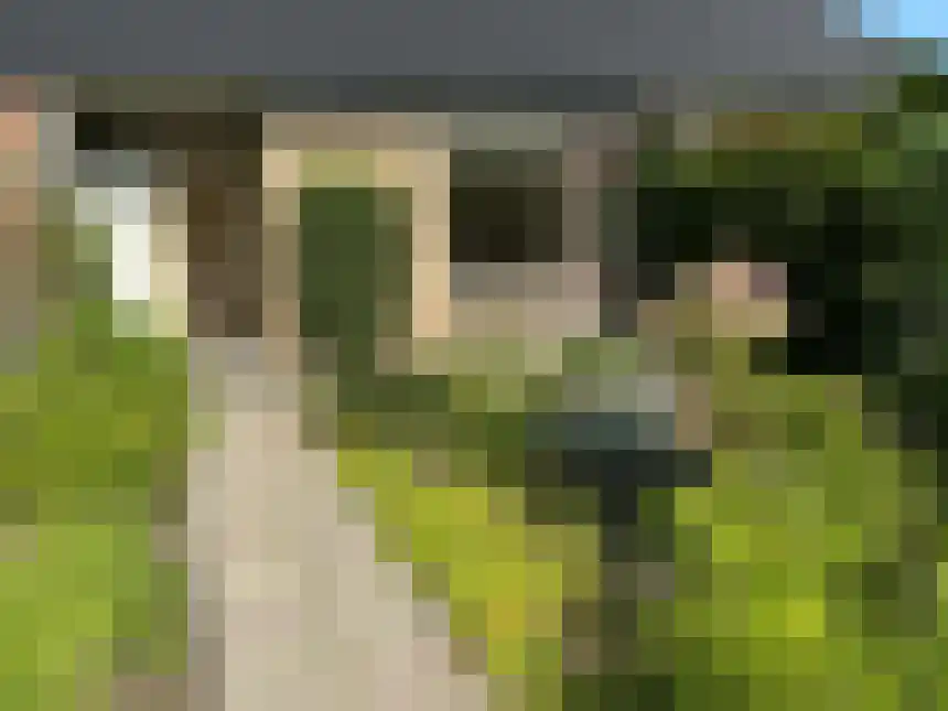 Meteorenstraat 77 Emmeloord thumbnail 4