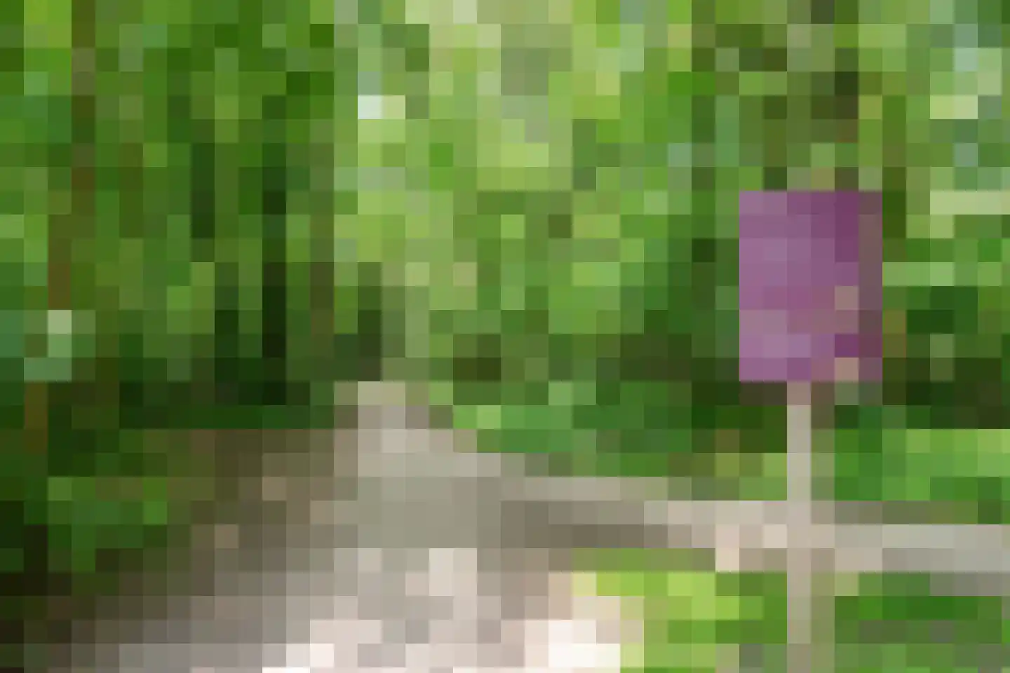 Meteorenstraat 78 Hilversum thumbnail 43